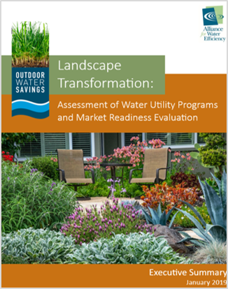 landscape transformation executive summary cover