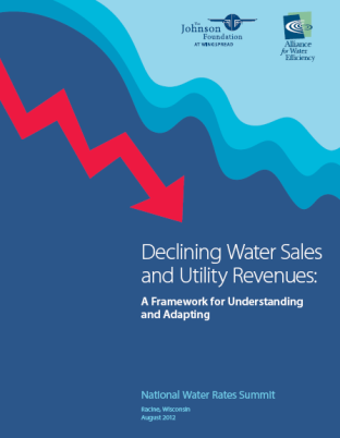 Declining-Sales-Revenue-White-Paper-cover