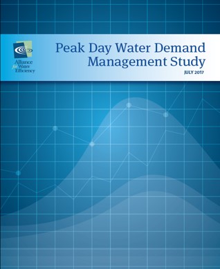 peak day water demand management study cover