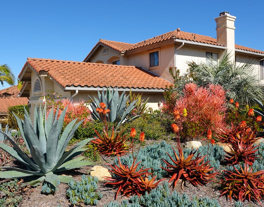Suburban house with red-tiled roof and a drought-tolerant garden of agave, succulents, and orange-red blooms under a clear blue sky.